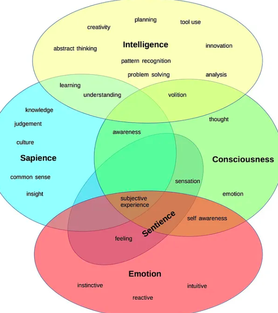 Not Sentient more on sentience – or not | a bonobo humanity?